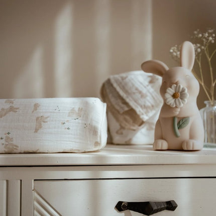 Aankleedkussenhoes - Baby Bunny koop je bij Babywinkel
