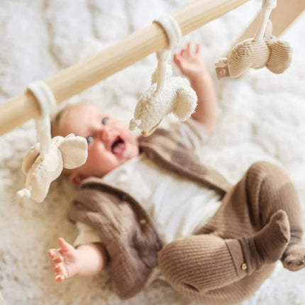 Jollein Babygym Speeltjes Elephant Tales koop je bij Babywinkel