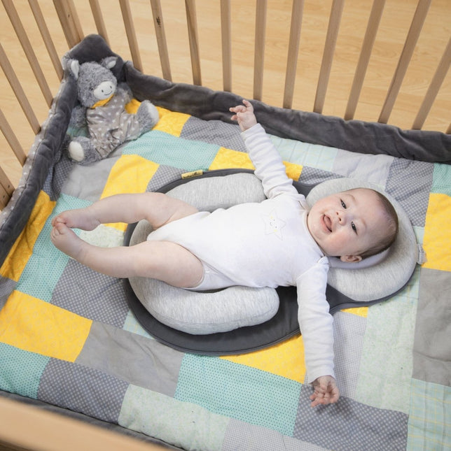 Babymoov Babynestje Cosydream Original Smokey koop je bij Babywinkel