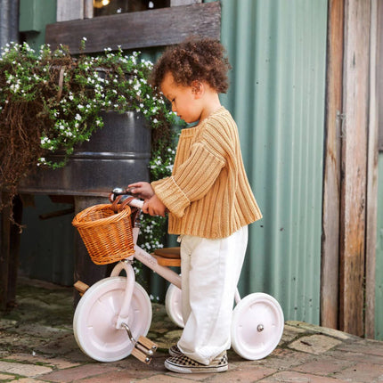 Banwood Trike Pink koop je bij Babywinkel