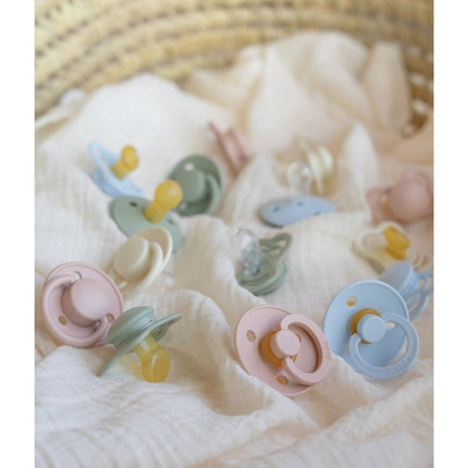 BIBS Speen Maat 1 Testpakket Sage koop je bij Babywinkel