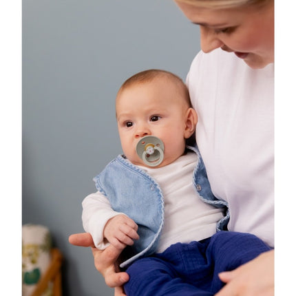 BIBS Speen Maat 2 Studio Colour Pin Anatomical Sage Mix koop je bij Babywinkel