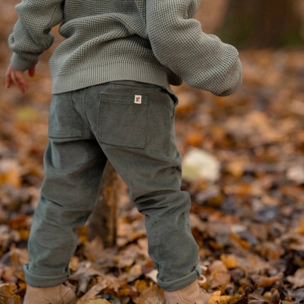 Little Dutch Baby Broekje Balsam Green koop je bij Babywinkel