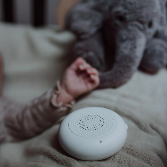 Flow Amsterdam Muziekdoosje Voor Hartslag Knuffels koop je bij Babywinkel