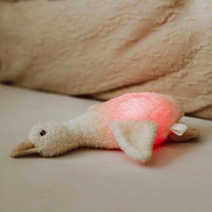 Flow Amsterdam Nachtlampje Knuffel Liva Beige koop je bij Babywinkel