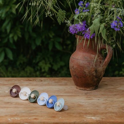 Frigg Speen Maat 1 Little Viking Ocean View/Powder Blue Silicone 2St koop je bij Babywinkel