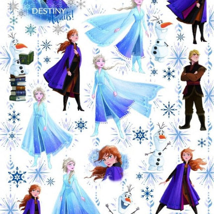 Frozen Stickers Glitter koop je bij Babywinkel
