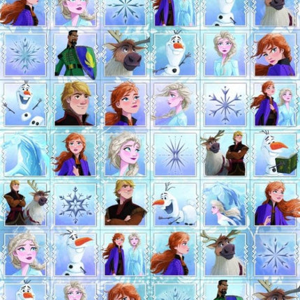 Frozen Stickers Klein koop je bij Babywinkel
