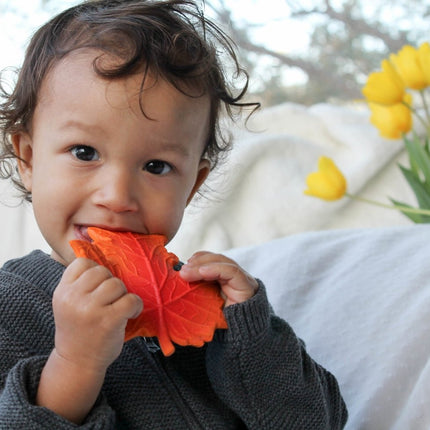 Lanco Bijtring Herfstblad koop je bij Babywinkel