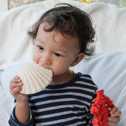 Lanco Bijtring Schelp Plat koop je bij Babywinkel