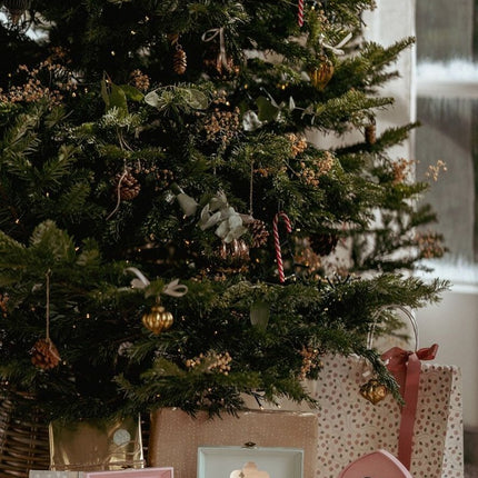 LD Sieradendoosje Rosa 17,8X11,5X9,9CM koop je bij Babywinkel