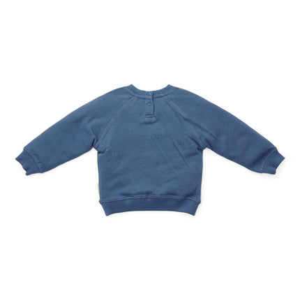 Little Dutch Baby Sweater Dark Blue koop je bij Babywinkel