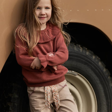 Little Dutch Baby Trui Deep Berry koop je bij Babywinkel