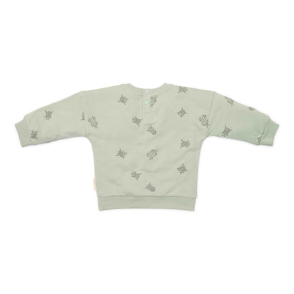 Little Dutch Baby Trui Mint Bugs koop je bij Babywinkel