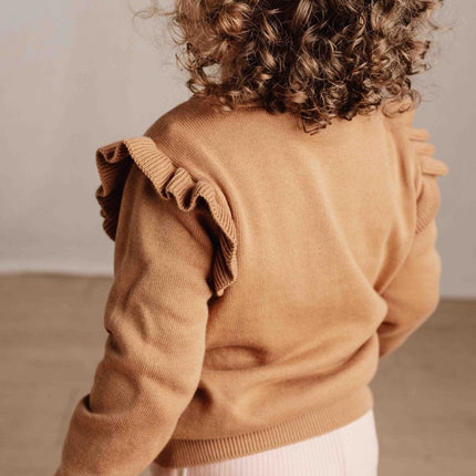 Little Dutch Baby Vestje Gebreid Brown koop je bij Babywinkel