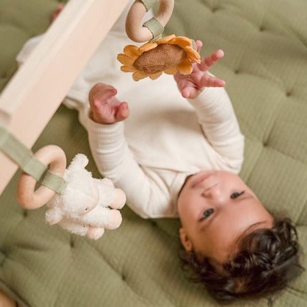 Little Dutch Babygym Little Farm koop je bij Babywinkel