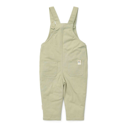 Little Dutch Tuinbroekje Winter Green Boys koop je bij Babywinkel
