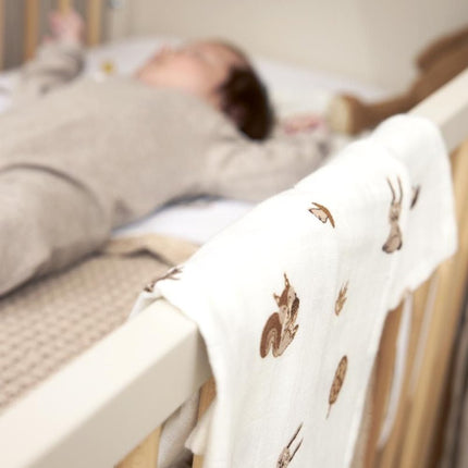 Meyco Hydrofiele Doek Animals 2 - Pack Toffee 120X120cm koop je bij Babywinkel