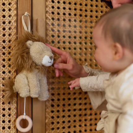 <tc>Little Dutch</tc> Musikhängare Lejon Safari