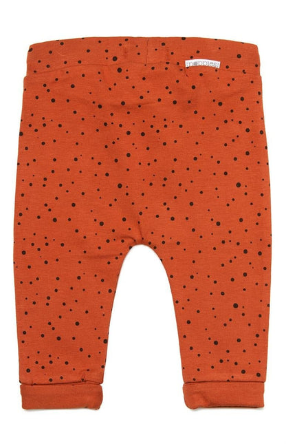 Noppies Babybroekje Spicy Ginger koop je bij Babywinkel