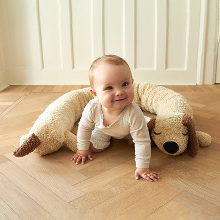 Roommate Bedomrander Lange Hond koop je bij Babywinkel