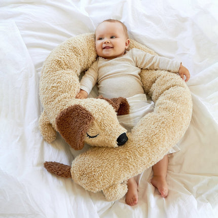 Roommate Bedomrander Lange Hond koop je bij Babywinkel