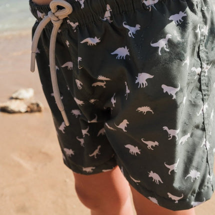 Slipstop Zwembroekje Dino Green koop je bij Babywinkel