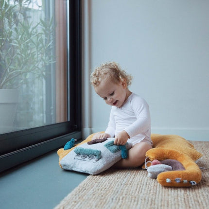 Snoozebaby Baby Boekje Activity House koop je bij Babywinkel