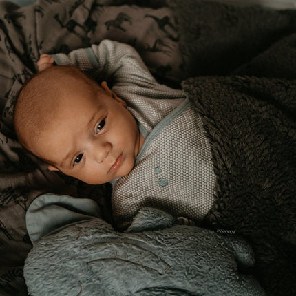 Snoozebaby Wiegdeken T.O.G 2.0 Dark Green 100x75cm koop je bij Babywinkel