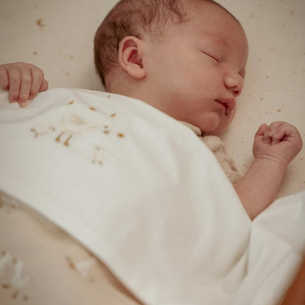 Little Dutch Wieglaken Geborduurd Little Goose koop je bij Babywinkel