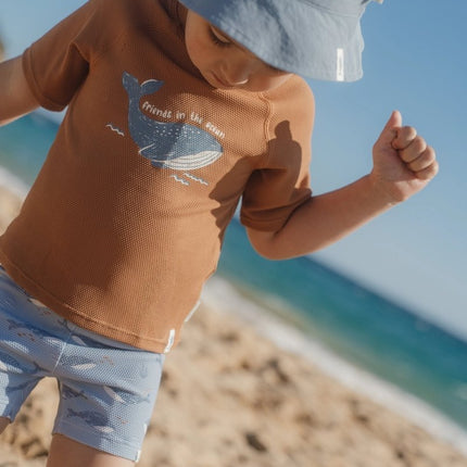 Zwem shirt korte mouwen Sunny Brown koop je bij Babywinkel